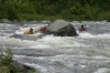 Thumbs/tn_Img_9183.jpg