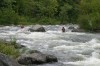 Thumbs/tn_Img_9190.jpg