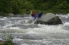 Thumbs/tn_Img_9227.jpg