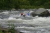 Thumbs/tn_Img_9231.jpg