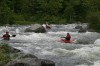 Thumbs/tn_Img_9236.jpg