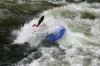 Thumbs/tn_Img_9251.jpg