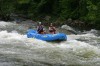 Thumbs/tn_Img_9261.jpg