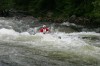 Thumbs/tn_Img_9270.jpg