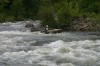 Thumbs/tn_Img_9299.jpg