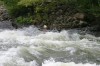 Thumbs/tn_Img_9300.jpg