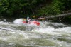 Thumbs/tn_Img_9321.jpg