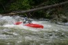 Thumbs/tn_Img_9323.jpg
