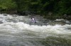 Thumbs/tn_Img_9331.jpg