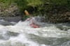Thumbs/tn_Img_9339.jpg