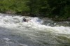 Thumbs/tn_Img_9350.jpg