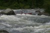 Thumbs/tn_Img_9358.jpg