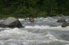 Thumbs/tn_Img_9368.jpg