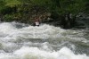 Thumbs/tn_Img_9373.jpg