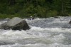 Thumbs/tn_Img_9383.jpg