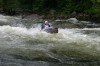 Thumbs/tn_Img_9393.jpg