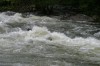 Thumbs/tn_Img_9407.jpg