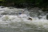 Thumbs/tn_Img_9408.jpg