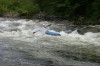 Thumbs/tn_Img_9423.jpg