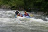 Thumbs/tn_Img_9445.jpg