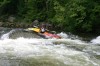 Thumbs/tn_Img_9476.jpg