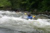 Thumbs/tn_Img_9491.jpg