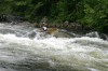 Thumbs/tn_Img_9511.jpg