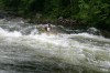 Thumbs/tn_Img_9512.jpg