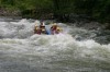 Thumbs/tn_Img_9519.jpg