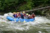 Thumbs/tn_Img_9539.jpg