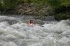 Thumbs/tn_Img_9545.jpg