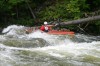 Thumbs/tn_Img_9562.jpg