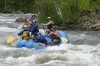 Thumbs/tn_Img_9572.jpg