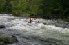 Thumbs/tn_Img_9576.jpg