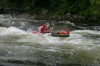 Thumbs/tn_Img_9578.jpg