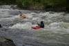 Thumbs/tn_Img_9587.jpg