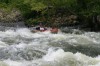 Thumbs/tn_Img_9610.jpg