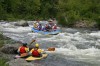 Thumbs/tn_Img_9620.jpg
