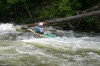 Thumbs/tn_Img_9640.jpg