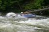 Thumbs/tn_Img_9654.jpg