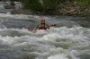 Thumbs/tn_Img_9732.jpg