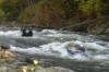 Thumbs/tn_Img_6763.jpg