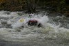 Thumbs/tn_Img_6775.jpg