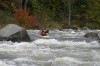 Thumbs/tn_Img_6785.jpg