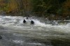 Thumbs/tn_Img_6847.jpg