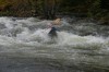 Thumbs/tn_Img_6851.jpg