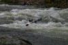Thumbs/tn_Img_6869.jpg