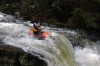 Thumbs/tn_Img_4769.jpg