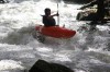 Thumbs/tn_Img_4786.jpg