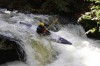 Thumbs/tn_Img_4811.jpg